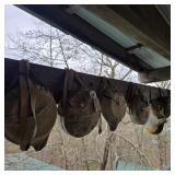 Lot of 12 Vintage / Boy Scouts Canteens