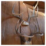 Antler Pair