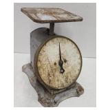 Antique Columbia Family Scale 24lb Kitchen Scale