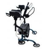 Aluminum Upright Walker
