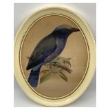 ANTIQUE LITHOGRAPH BY  J.G. KEULEMANS TITLED