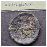 1350-338 B.C AR STATER