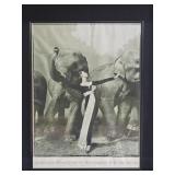 Signed 'Dovima With Elephants' by Richard Avedon