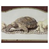 FRAMED TORTOISE PRINT