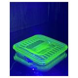 UV REACTIVE REFRIGERATOR DISH HANDLED LID GREEN
