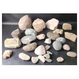 Interesting Rocks Fossils Crystals
