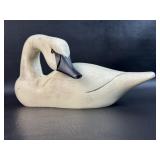 Small Wood Swan