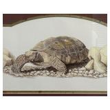 FRAMED TURTLE/TORTOISE PRINT