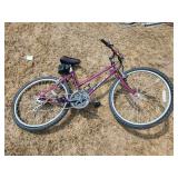 Quantum Pacific Ladies Bicycle Needs Tires /