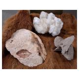Large Brachiopod Fossil & White Aragonite (Cave