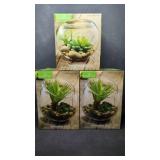 New 3 Piece Terrarium Kits NIB