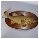 Large Mouth Mounted Bass - 21.75ï¿½ï¿½ Bass