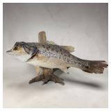 Wall Mounted Large Mouth Bass on Driftwood