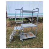Ladder Cart 3-Step Stair Picking Cart / Stocking