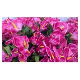 Faux Calla Lilies,  Faux Flowers No Shipping, Box