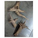 Driftwood Pieces Terrarium Taxidermy Aquarium
