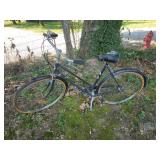 Vtg Cruiser Bicycle The Dragon Made in Holland