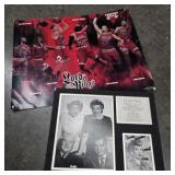 Chicago Bulls & I Love Lucy Poster / Art