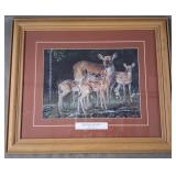 Carolyn Mock "Spring Secrets" Framed Deer Print