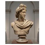 Apollo Belvedere Bust
