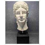 The "Head of  (Juno"Juno Ludovisi) Cast resin