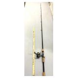 Fishing pole and reel