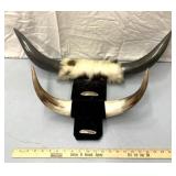 Decorative wall hanging horns