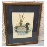 Duck print by Stephen Crayford