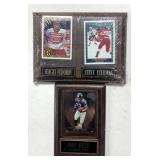 Football and hockey plaques