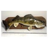 ï¿½Wishful thinkingï¿½ wooden carved fish wall mount