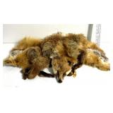 Unique Fox furrs