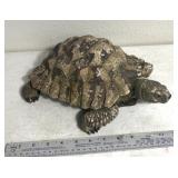 Turtle decor