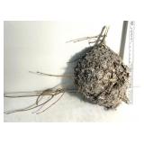 bald-faced hornet nest constructed from wood p