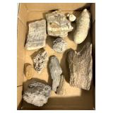 Petrified wood, fossil, etc