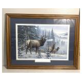 Storms end- Rocky Mountain elk (Larry Zach)