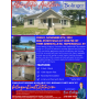ABSOLUTE REAL ESTATE AUCTION- 15955 GREENVILLE RD, HOPKINSVILLE, KY