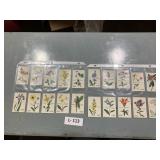 Coca-Cola Cards Flowers