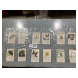 Coca-Cola Cards World of Nature