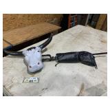 Roping Practice Bull