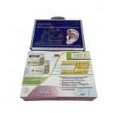 Electronic Pulse Massager&Han Shen Magic Needle