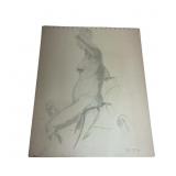 Study Drawing Nude Femele Thom Sudato Signed