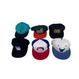 Lot Of 17 Vintage Collection Of Snapback Hats