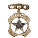 10K YELLOW GOLD I.O.O.F. DOVE & OLIVE BRANCH PIN