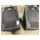 2-Peavey Large Speakers