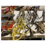 Assorted Equine Tack