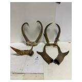 Antelope Antlers