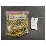 .204 Ruger .204 Ruger