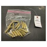 .308 Brass .308 Brass
