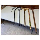 Five Walking Canes