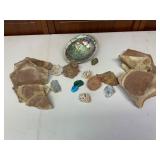 Abalone Shell, Rocks, Fossils, and Minerals